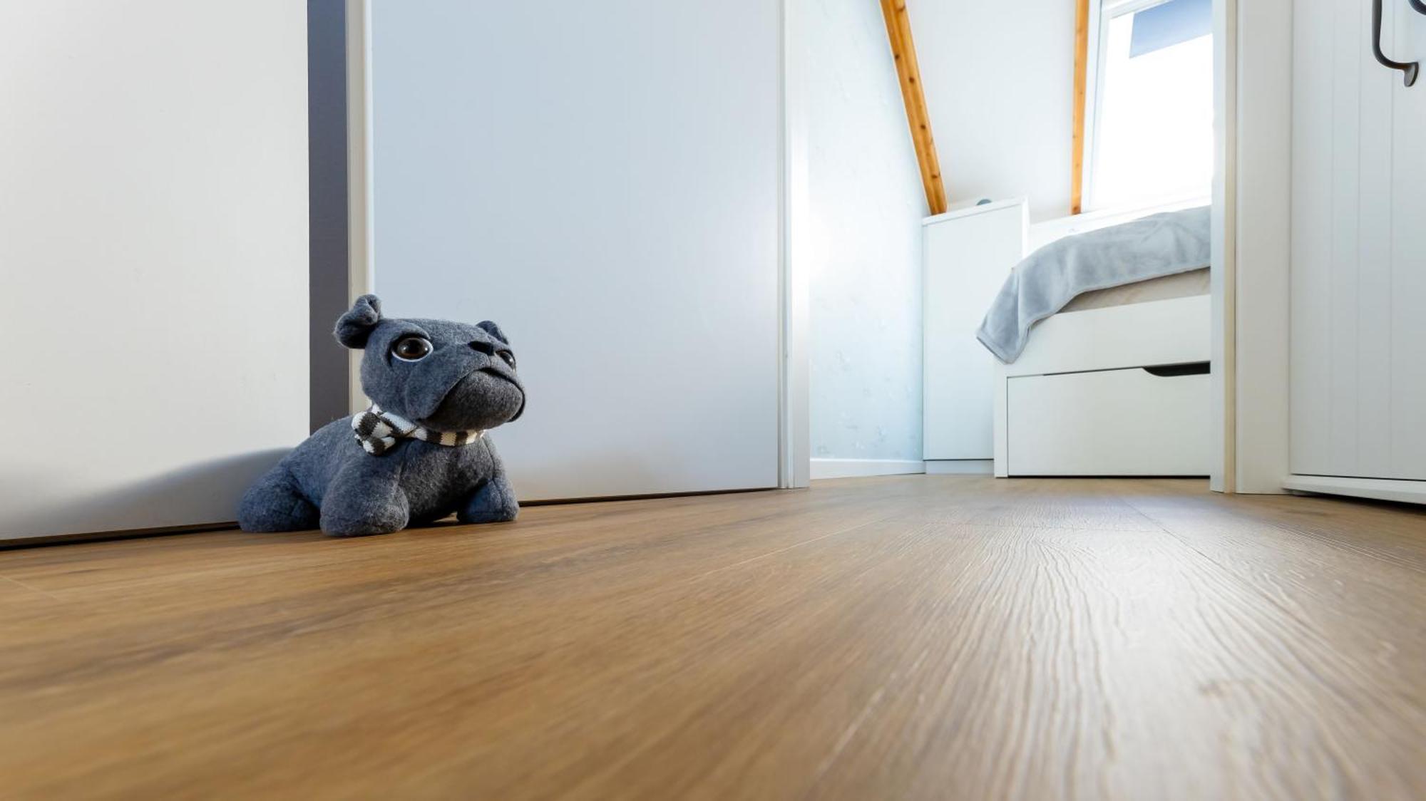 Haus Seeblick Mit 9 Wohnungen Alt Reddevitz Extérieur photo